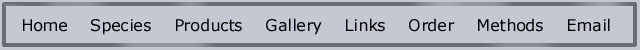 Menu Bar